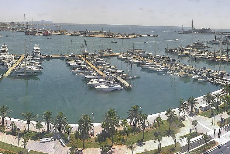 Webcam view of Palma de Mallorca marina, which caters to boats of all shapes and sizes. The cathedral La Seu can be seen in the distance. In the foreground is the Avinguda de Gabriel Roca.