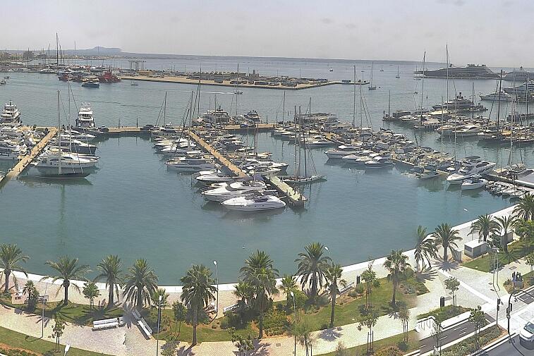 Webcam view of Palma de Mallorca marina, which caters to boats of all shapes and sizes. The cathedral La Seu can be seen in the distance. In the foreground is the Avinguda de Gabriel Roca.