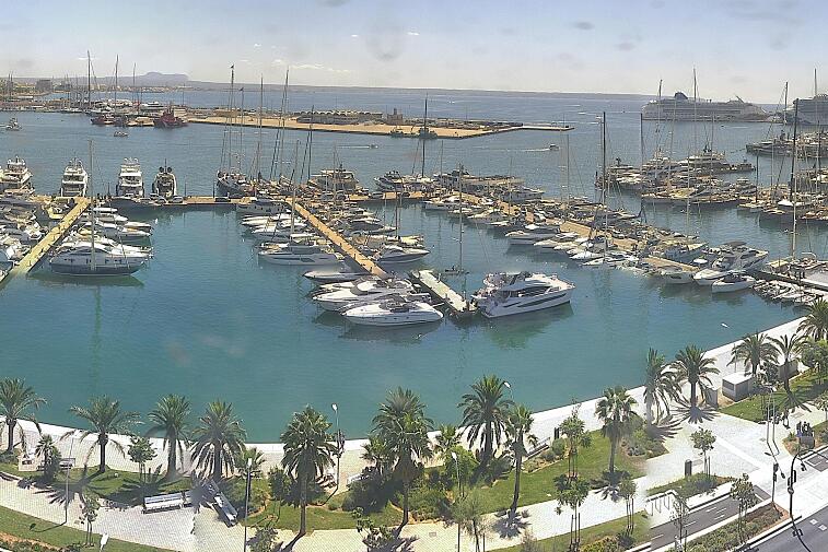 Webcam view of Palma de Mallorca marina, which caters to boats of all shapes and sizes. The cathedral La Seu can be seen in the distance. In the foreground is the Avinguda de Gabriel Roca.