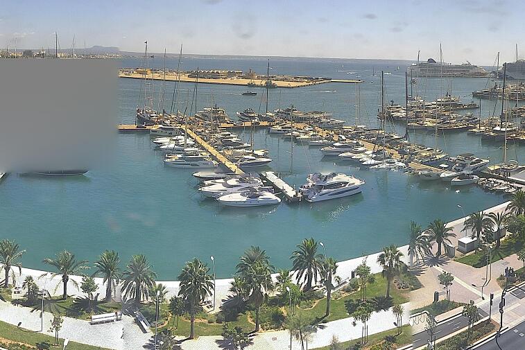 Webcam view of Palma de Mallorca marina, which caters to boats of all shapes and sizes. The cathedral La Seu can be seen in the distance. In the foreground is the Avinguda de Gabriel Roca.