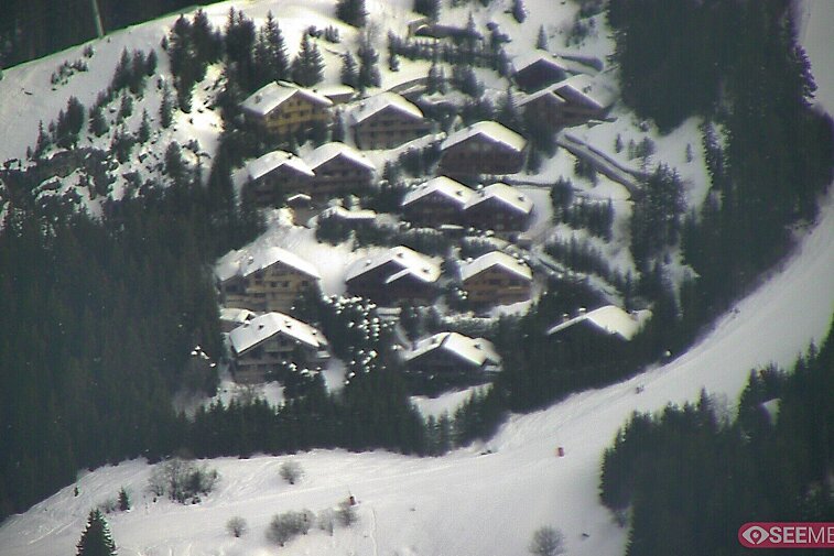 A picture-postcard webcam view of the best Méribel can offer: chocolate-box chalets, tree-line, and easily-accessible pistes