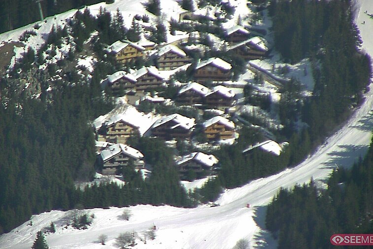 A picture-postcard webcam view of the best Méribel can offer: chocolate-box chalets, tree-line, and easily-accessible pistes