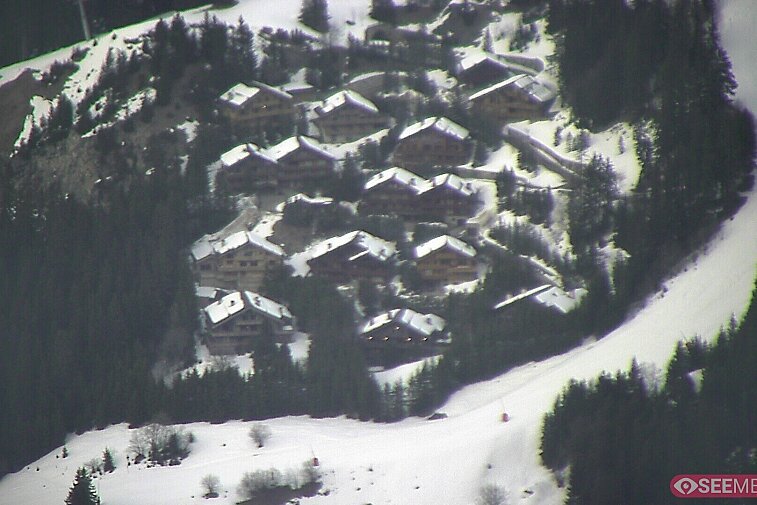A picture-postcard webcam view of the best Méribel can offer: chocolate-box chalets, tree-line, and easily-accessible pistes