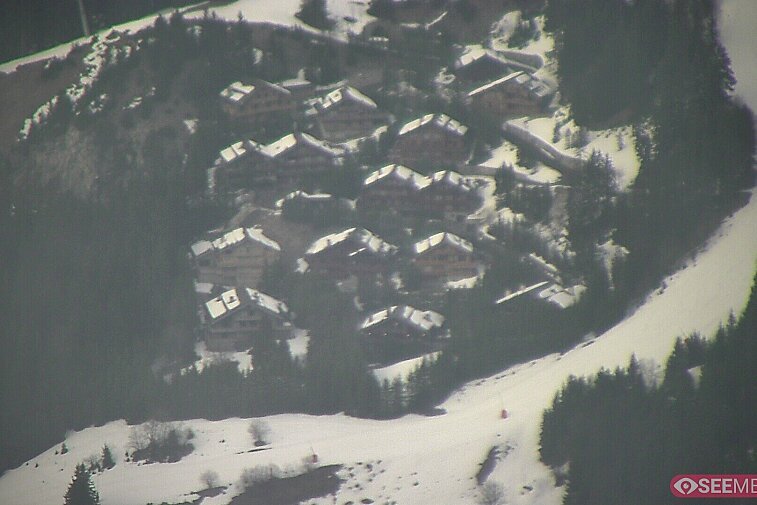 A picture-postcard webcam view of the best Méribel can offer: chocolate-box chalets, tree-line, and easily-accessible pistes