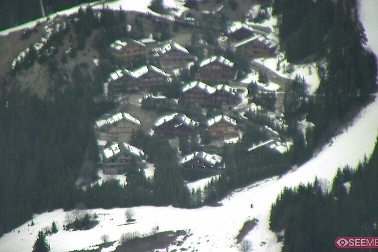 A picture-postcard webcam view of the best Méribel can offer: chocolate-box chalets, tree-line, and easily-accessible pistes