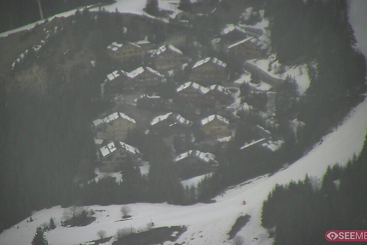 A picture-postcard webcam view of the best Méribel can offer: chocolate-box chalets, tree-line, and easily-accessible pistes