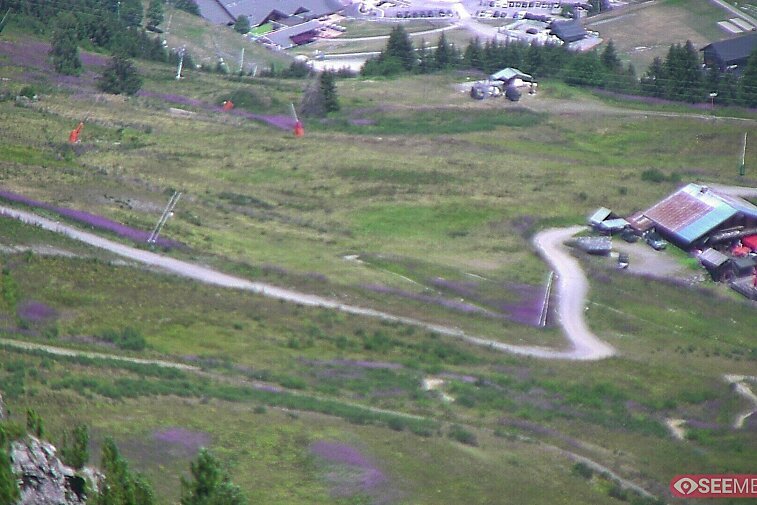Webcam view from the very top of Tougnette bubble lift looking down upon the Moonpark, one of the Meribel valley's two snowparks