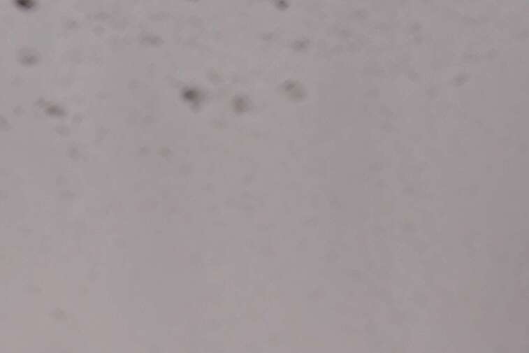 This webcam shows a piste in the Arare sector in the Avoriaz ski area at around 2000m