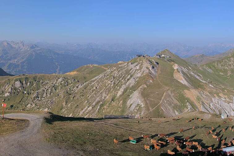 Webcam view from La Grande Rochette, the top of the main bowl in the La Plagne ski area, at 2505 metres