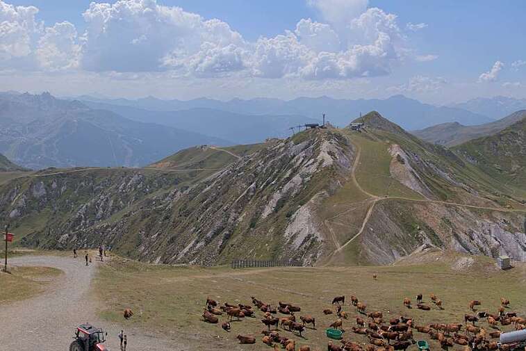 Webcam view from La Grande Rochette, the top of the main bowl in the La Plagne ski area, at 2505 metres
