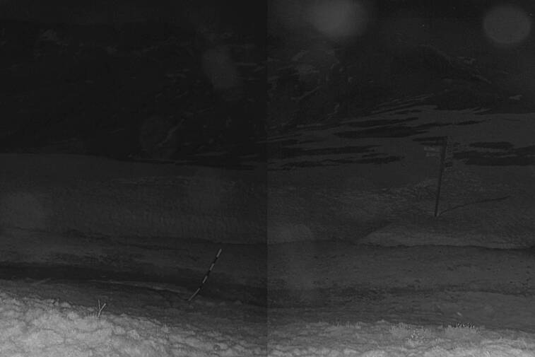 Webcam view from the top end of the Chamonix valley at the Domaine de la Balme, which links Le Tour and Vallorcine
