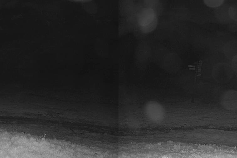 Webcam view from the top end of the Chamonix valley at the Domaine de la Balme, which links Le Tour and Vallorcine